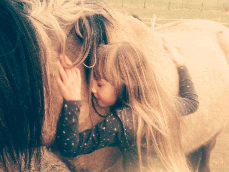 emotionale_heilarbeit_4