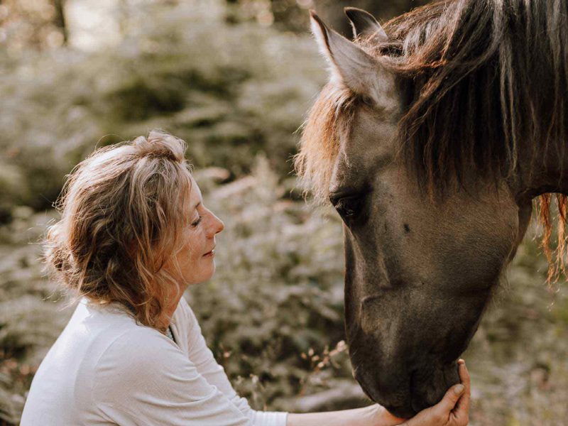 pferdegestuetztes_coaching_1